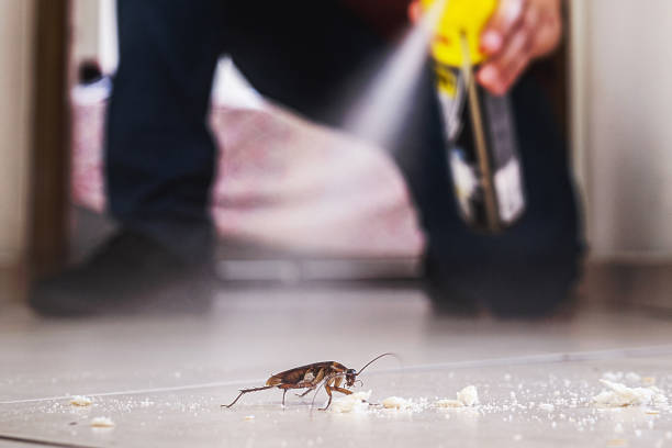 Pest Control Cost in Brackettville, TX